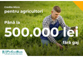Dezvoltă-ți afacerea cu FinComBank și Creditele MICRO