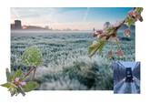 The Ministry of Agriculture of Moldova will take prompt measures to assess and mitigate the effects of frosts