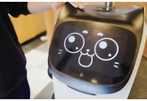 Restaurantele din Japonia „angajează” roboți-pisică pentru a servi clienții și a rezolva o problemă acută