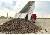 Is the sugar market in imbalance? How can Moldova avoid ahortages and exorbitant prices?