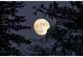 Американская компания займется добычей гелия-3 на Луне