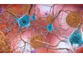 New drug brings hope that decades-long slog to find Alzheimer&#039;s cure might pay off