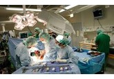 Premieră mondială în medicină: primul transplant de ficat de porc într-un organism uman. Un experiment care a ținut 10 zile