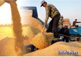 În primele 2 săptămâni de la începerea campaniei de seceriș în Moldova a cerealelor din grupul I, a fost recoltată din 12% din suprafața însămânțată, până acum s-au obținut 268,4 mii tone de grâu, randamentul mediu este de 4,5 tone pe hectar - Ministerul Agriculturii.