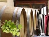 Moldova will change rules for awarding the Grand Prize for special achievements in the viticulture and winemaking sector and introduce two new categories of awards