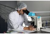 Опровергнуты заблуждения о кишечных бактериях человека
