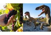 Apariția strugurilor este un efect al dispariției dinozaurilor