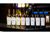 Purcari Wineries a înregistrat un profit net de 41,07 milioane de lei (8,3 milioane de euro) în 2021, în scădere cu 31% față de 2020. 