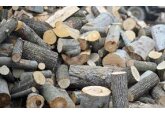Franţa: penuria de lemne de foc se intensifică