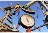 Стало известно о попытках Индии надавить на США в вопросе российской нефти
