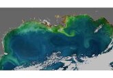 De ce oceanele lumii își schimbă culoarea