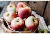 Врач назвала четыре лучших продукта для завершения каждого приема пищи
