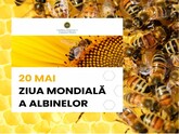 In 2024, Moldova produced about 5 thousand tons of honey, and more than 4.1 thousand tons have already been exported - the Ministry of Agriculture