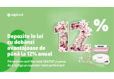 Depozite în lei cu dobânzi avantajoase de până la 12% anual
