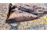 &#039;Remarkable&#039; discovery as 6,000-year-old carved wood found in UK