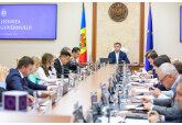 Guvernul a aprobat Regulamentul privind coexistența culturilor modificate genetic cu culturile tradiționale și ecologice