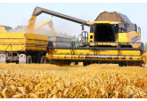 Oficial ceh din agricultură: Politica agricolă europeană ar trebui desfiinţată