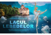 Spectacol- Poveste “Lacul lebedelor”