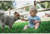 Общение с собаками оказалось полезным для здоровья