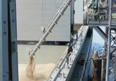 Guvernul Moldovei a chemat părțile care sunt implicate în disputa privind Portul Giurgiulești să soluționeze problema prin prisma legii în instanțele de judecată competente.