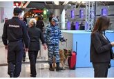 Собак надрессировали определять больных коронавирусом в аэропортах