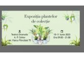 Выставка коллекционных растений