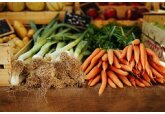 Фермеры в Европе возмутились притоком дешевой сельхозпродукции из Украины