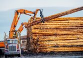 O nouă criză în SUA: Preţul cherestelei a explodat în timpul pandemiei, fapt ce a adus creşteri masive pentru preţurile locuinţelor. Furnizorii de materii prime din lemn raportează profituri record