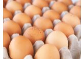 Franţa s-ar putea confrunta cu o penurie de ouă