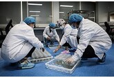 Китайские ученые предупредили о климатической катастрофе из-за перегрева океанов