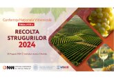 Recolta de struguri este în descreștere, în timp ce exporturile sunt pe un trend ascendent. Provocările climatice și reziliența sectorului - pe agenda Conferinței Naționale a Filierei vitivinicole.