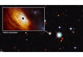 Brightest and hungriest black hole ever detected