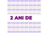 În 2 ani, 7,2 mii de tineri au participat la programul „Voucher cultural”, iar pentru asigurarea acestuia din buget au fost cheltuiți 6,5 milioane de lei