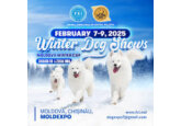 Moldexpo: Приглашаем всех любителей собак на Dog Show 2025 года 