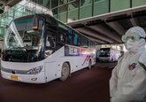 OMS, după investigaţia din Wuhan: Originea coronavirusului este animală, dar nu ştim despre ce animal este vorba