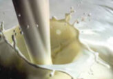 In Moldova, milk production has increased by 1.7 times over the past year - from 29 thousand tons in 2023 to 49.7 thousand tons in 2024.