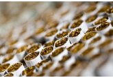 Every tenth cigarette in Moldova is sold illegally, which raises serious concerns for both the authorities and the industry
