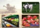 Sectorul agricol al Moldovei nu are un mecanism eficient de adaptare la schimbările climatice, iar cunoștințele necesare despre riscurile și vulnerabilitățile asociate cu acesta nu sunt suficiente - FAO.