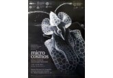 Microcosmos: natura văzută la microscopul electronic
