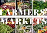 Сельскохозяйственные ярмарки по выходным