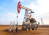 Avertisment 1: Scumpirea gazelor se va întoarce împotriva industriei