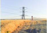 AIPA a primit 211 cereri de subvenții în avans (245,96 milioane de lei) pentru proiecte de investiții destinate îmbunătățirii standardelor de viață și de muncă în zonele rurale.