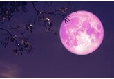 Pink Moon – De ce se numește așa luna plină de la mijloc de aprilie și ce alte nume populare i s-au dat