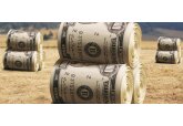 3335 applications for advance, post-investment and phased subsidies totaling over 2 billion lei were submitted in Moldova from October 21 to December 19 - AIPA