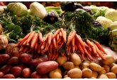 A fost înființată Asociația Producătorilor de Legume din Moldova (APLM).