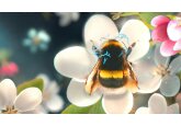 Fertilisers confuse bumblebees, making them less likely to land on flowers, study suggests