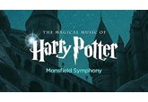 Music from Harry Potter by The Symphonians