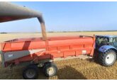 Recoltă „catastrofală” de grâu în acest an pentru cel mai mare producător şi exportator european de cereale