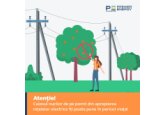 ATENȚIE! Culesul nucilor de pe pomii din apropierea rețelelor electrice implică grave pericole de electrocutare. Respectați cu strictețe regulile de securitate, protejați-vă viața și sănătatea!
