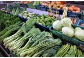 Autoritățile moldovenești ar trebui să depună mai multe eforturi pentru a diversifica piețele pentru produsele agricole moldovenești, recomandă IPRE.
